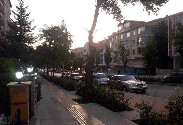 İş yerinin önündeki ağaçları kesen esnafa belediyeden 50 bin TL para cezası G4