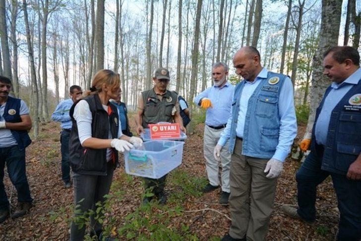Müdür Hasan Keskin: "Doğal denge bozulmayacak" G1
