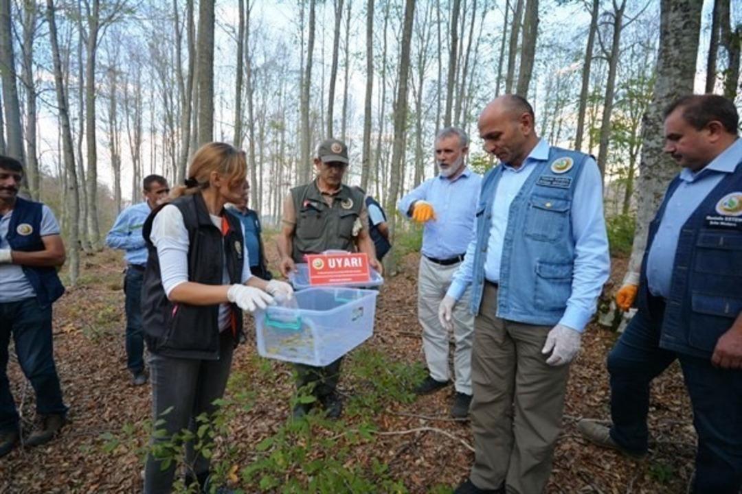 M&uuml;d&uuml;r Hasan Keskin: "Doğal denge bozulmayacak"