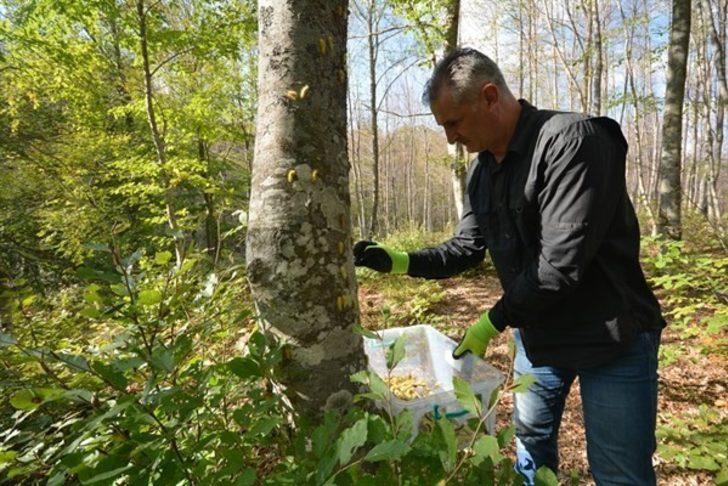 Müdür Hasan Keskin: "Doğal denge bozulmayacak" G5