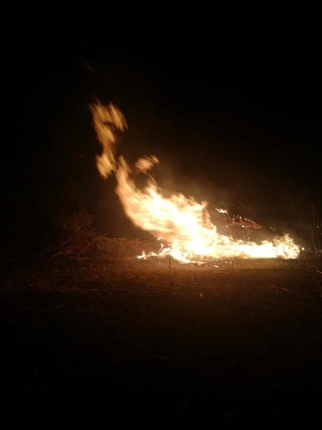 Bayırköy’de anız yangını