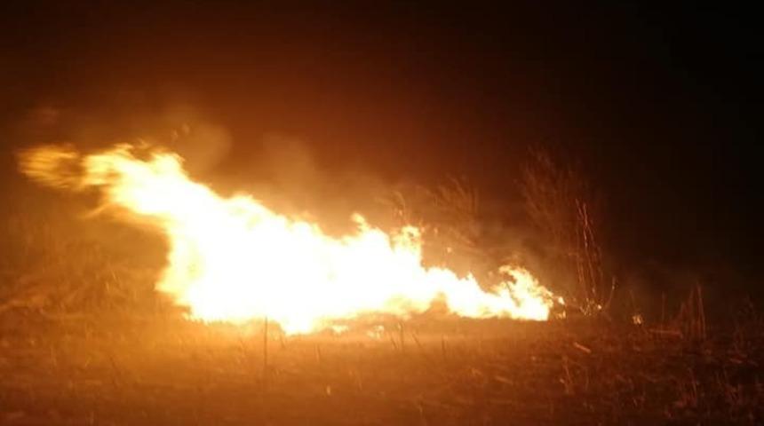 Bayırköy’de anız yangını