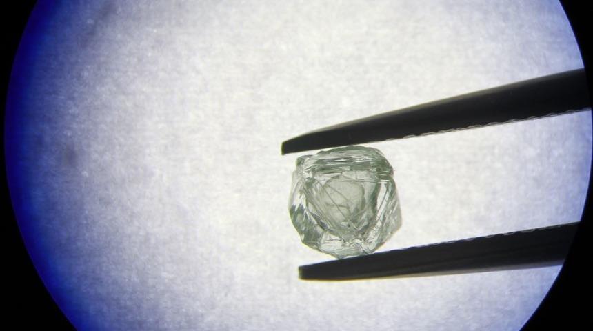 Tarihi keşif! Rusya 'Matruşka' elması konuşuyor