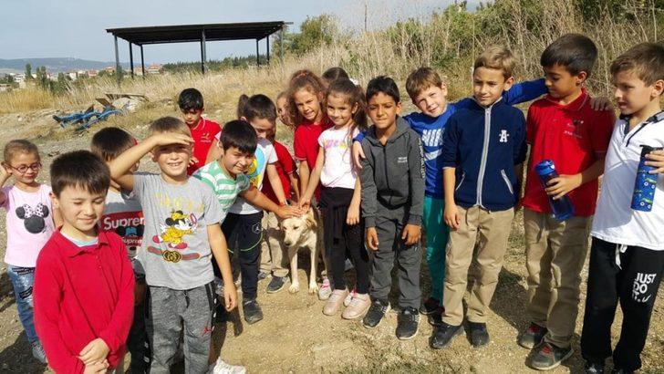 Öğrenciler, hayvan barınağını ziyaret etti G4