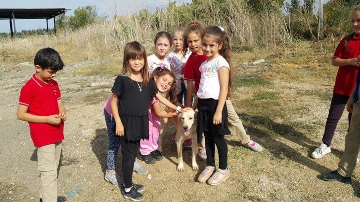 Öğrenciler, hayvan barınağını ziyaret etti G5