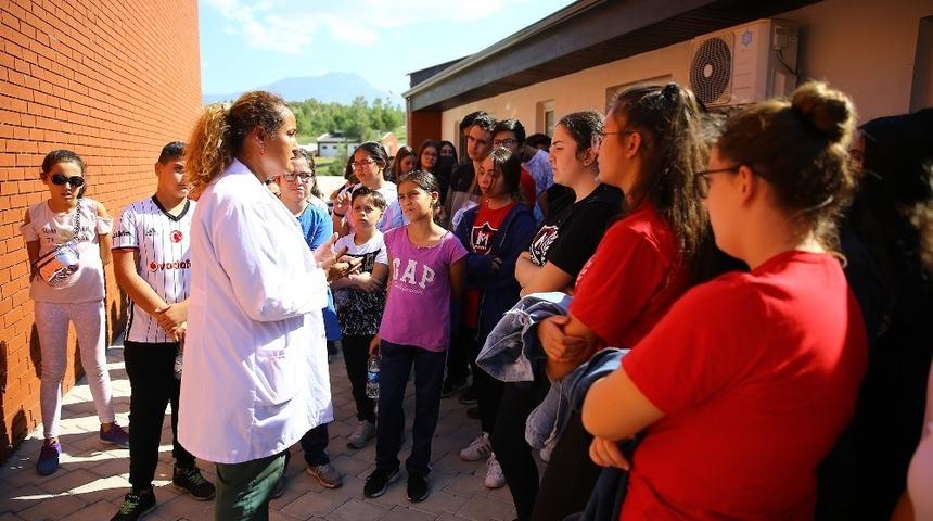 Kadın meclisi sokak hayvanlarını ziyaret etti