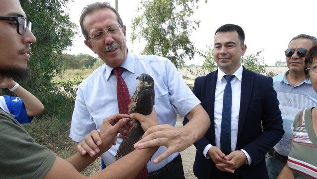 Hayvanları Koruma Günü’nde, doğal ortamlarına bırakıldılar