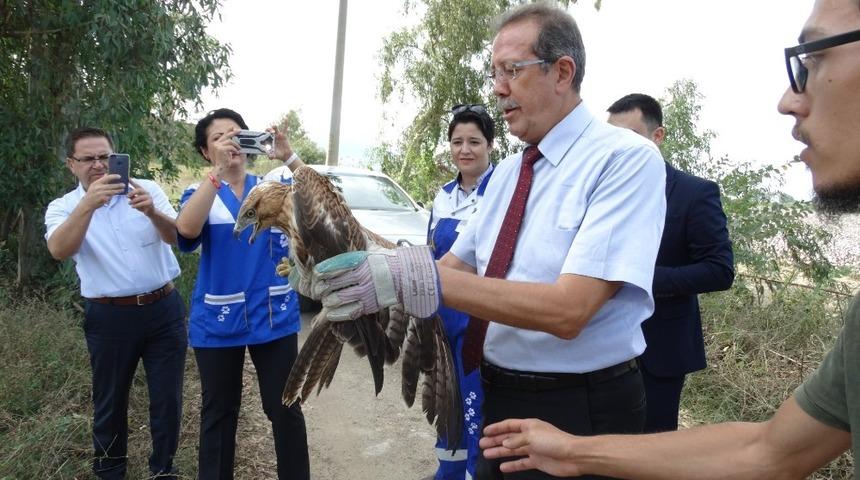 Hayvanları Koruma Günü’nde, doğal ortamlarına bırakıldılar