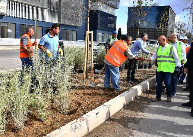 Soyer ve Batur, Gıda Çarşısı’ndaki temizlik çalışmalarına katıldı