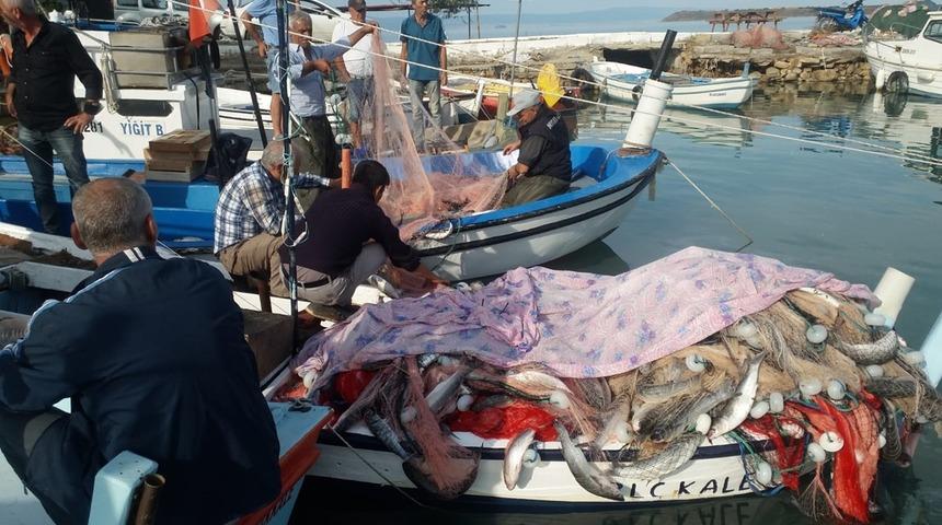 Çanakkale'de 1,5 ton kefal yakaladı, 22 bin 500 TL kazandı