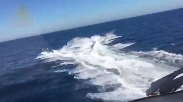 Denize düşen polisleri, kovaladıkları kaçakçılar kurtardı