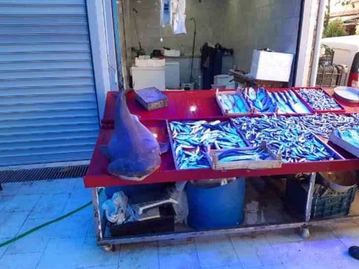 Tam 2 metre! Tezgahtaki köpek balığı görenleri şaşırttı G2