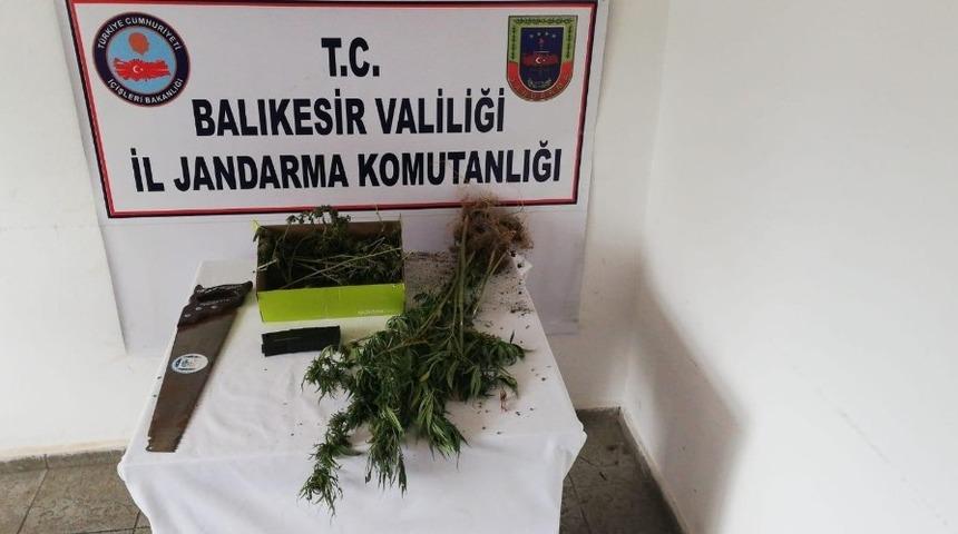 Jandarmadan uyuşturucu operasyonu