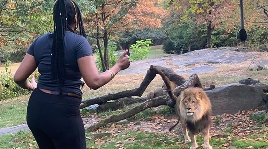 Hayvan bile dondu kaldı! Aslanın kafesine girip...