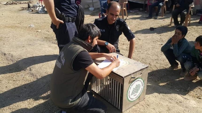 Kafes avcılarına 11 bin 260 TL ceza