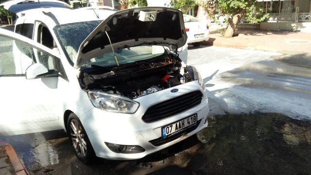 Otomobilin motoruna giren 3 kirpi telef oldu