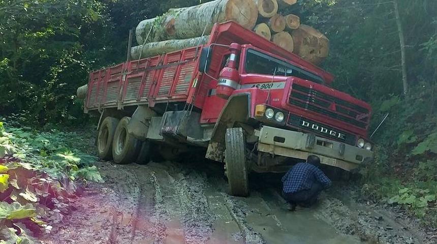 Tomruk y&uuml;kl&uuml; kamyon yan yattı