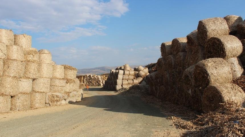 Biyok&uuml;tle enerji i&ccedil;in bitkisel atık alımına başlandı