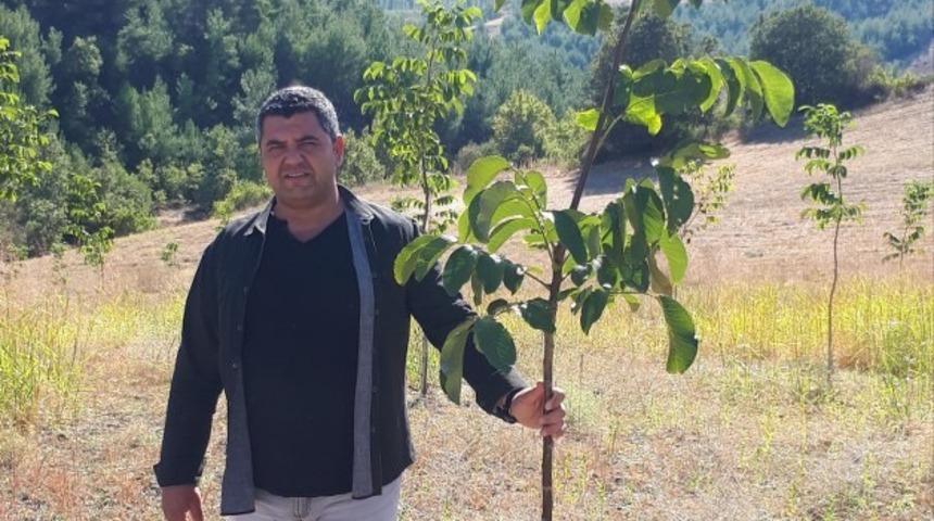 Gördes’te fidanlar yeşeriyor