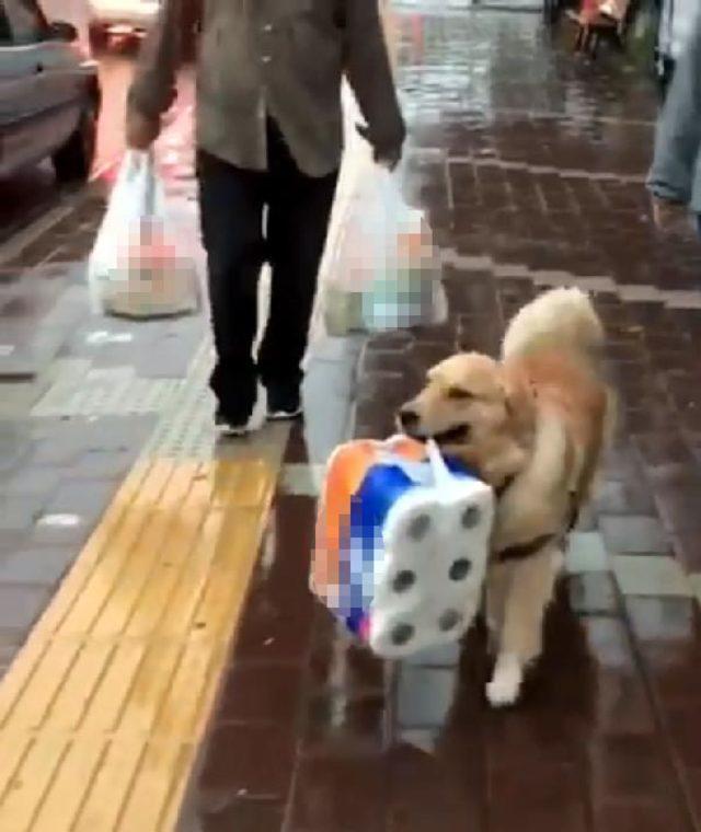  Karamel , sahibinin y&uuml;k&uuml;n&uuml; hafiflettti 2