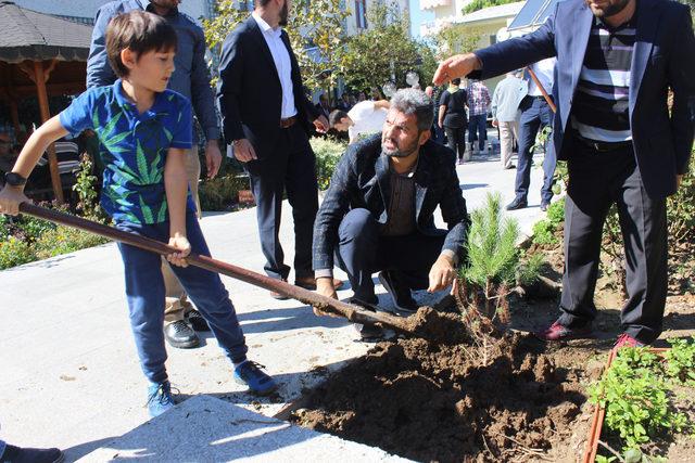 Çanakkale'de Şehitler Camii bahçesine fidan dikildi