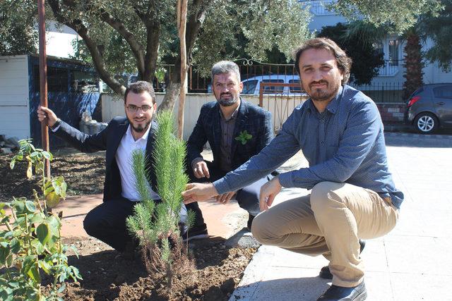 Çanakkale'de Şehitler Camii bahçesine fidan dikildi