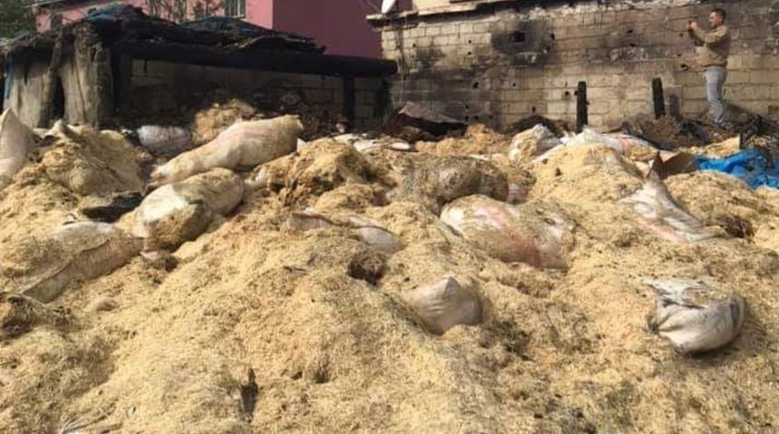 Kahramanmaraş&rsquo;ta ahır yangını: 17 hayvan telef oldu