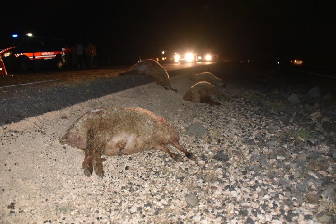 Otomobil koyun s&uuml;r&uuml;s&uuml;ne daldı: 40 koyun telef oldu