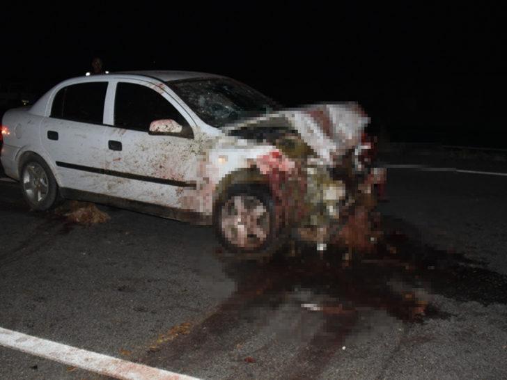 Otomobil koyun sürüsüne daldı: 40 koyun telef oldu G2