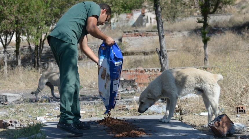 Sokak hayvanları Altındağ Belediyesi&rsquo;ne emanet