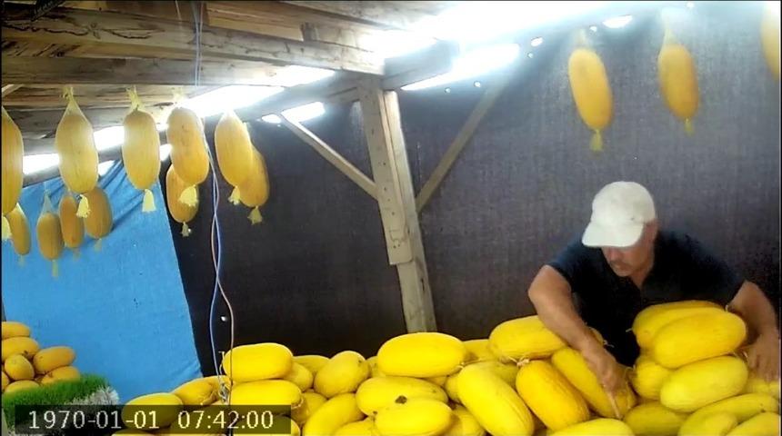 Ne yaptığını &ouml;ğrenince &ccedil;ok şaşıracaksınız