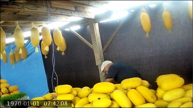 Tekirdağ'da ilginç olay! Gerçeği öğrenince çok şaşırdı