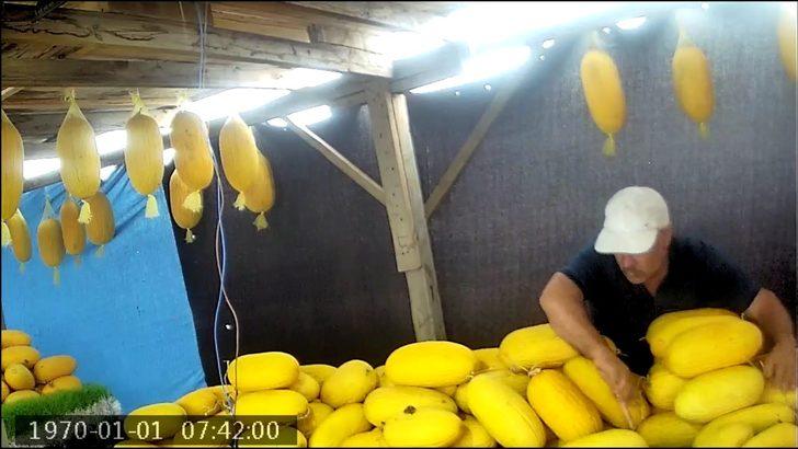 Tekirdağ'da ilginç olay! Gerçeği öğrenince çok şaşırdı G1