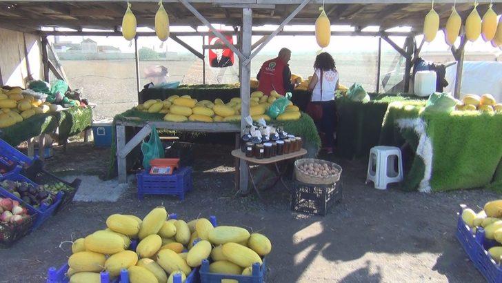 Tekirdağ'da ilginç olay! Gerçeği öğrenince çok şaşırdı G4