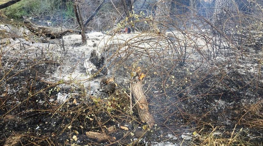 20 d&ouml;n&uuml;m alan k&uuml;l oldu