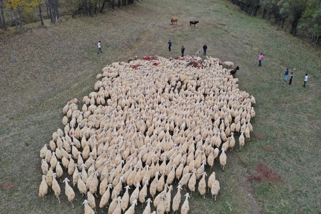 Ko&ccedil; katım t&ouml;reni renkli g&ouml;r&uuml;nt&uuml;lere sahne oldu