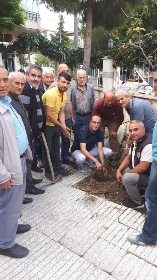 Din görevlileri, cami bahçelerine 200 adet fidan dikti