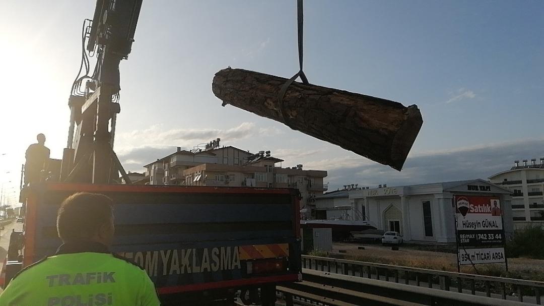 Yola d&ouml;k&uuml;len tomruklar kazaya neden oldu