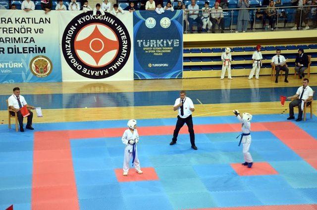 Büyükler Kyokushin Karate Türkiye Şampiyonası