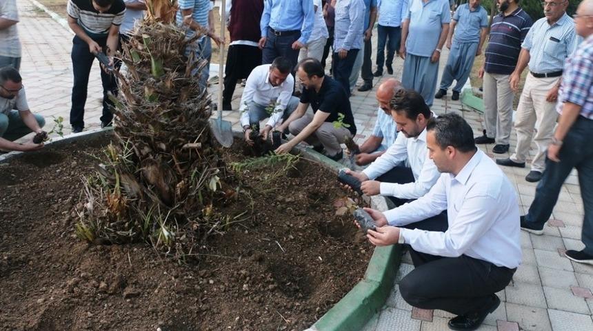 Tarsus M&uuml;ft&uuml;l&uuml;ğ&uuml;&rsquo;nden fidan dikimi