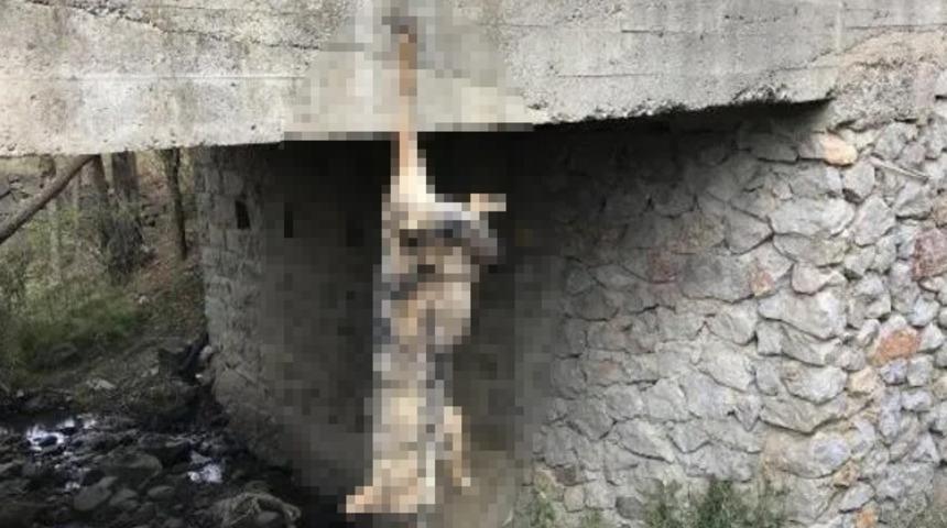 Bu nasıl vicdan! Öldürüp köprüye astılar