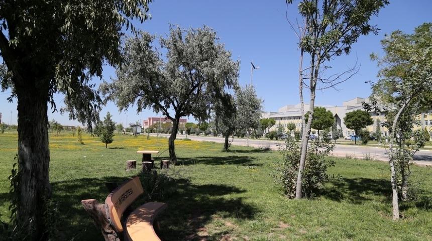 AS&Uuml;, EBYS ile &uuml;&ccedil; yılda bin 775 ağacı kesilmekten kurtardı