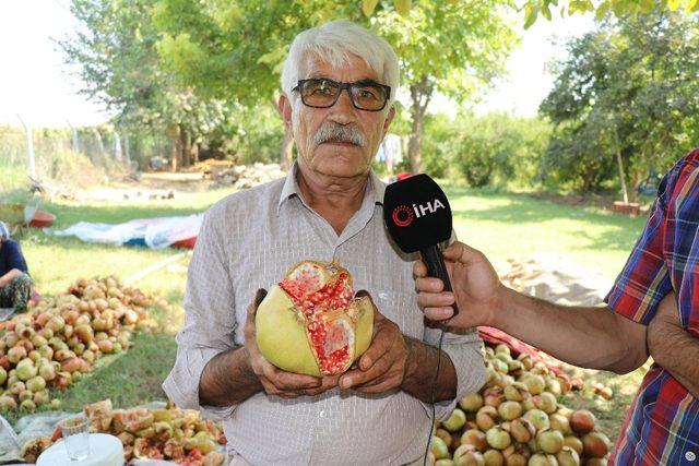 Suruç’ta nar ekşisi zamanı