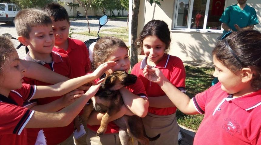 Kurtuluşlu &ouml;ğrencilerden can dostlara ziyaret