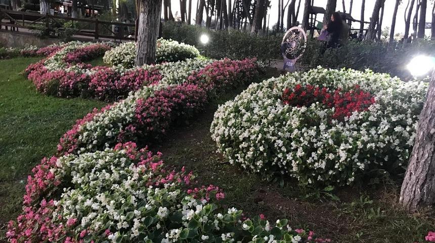 Aytepe B&uuml;y&uuml;kşehir ile renklendi