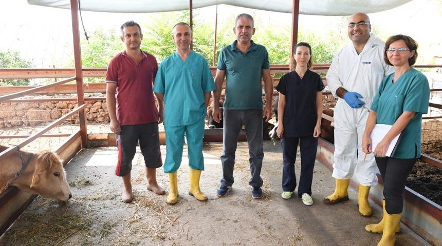 Konyaaltı Belediyesinden &ccedil;ift&ccedil;iye &uuml;cretsiz aşı