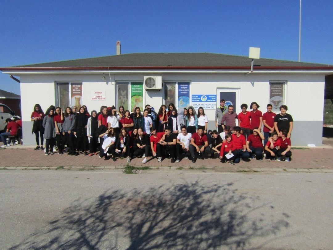 Hayvanları Koruma G&uuml;n&uuml; etkinliklerle kutlandı
