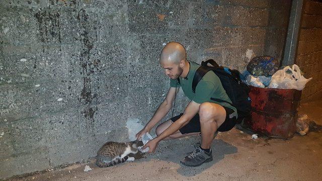 Hayatını sokak hayvanlarına adadı