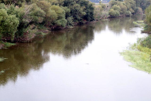 Gediz Nehri'nde balık ölümleri devam ediyor
