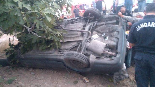Aydın'da otomobil incir bahçesine uçtu: 6 yaralı 